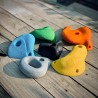 Climbing Holds (Pack of 50) - Eurolivin